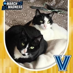 Meet your Posher, Lindsay